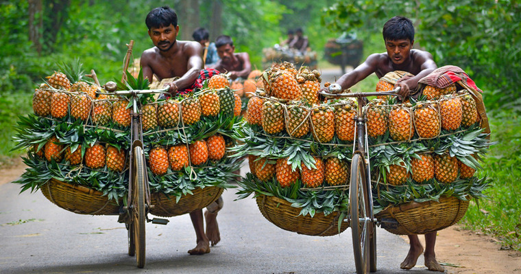 বাংলাদেশি ২৪ পণ্য পেল ‘জিআই সনদ’